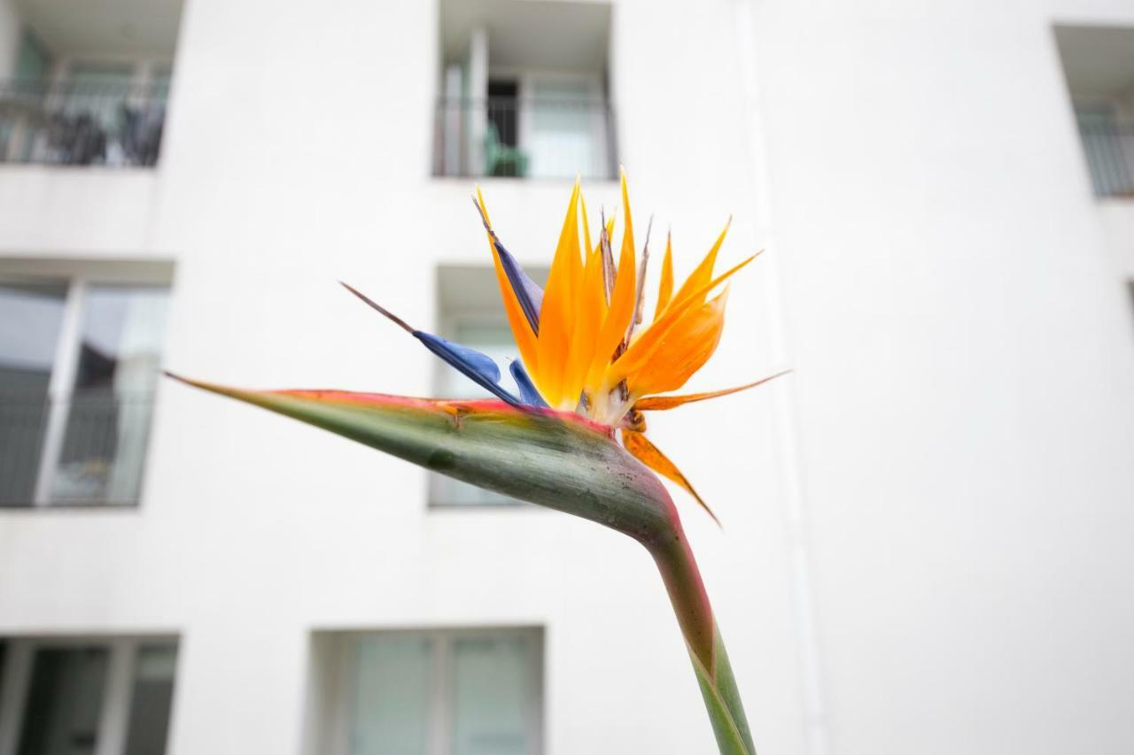 Lisbon Downtown Apartment Free Parking Esterno foto